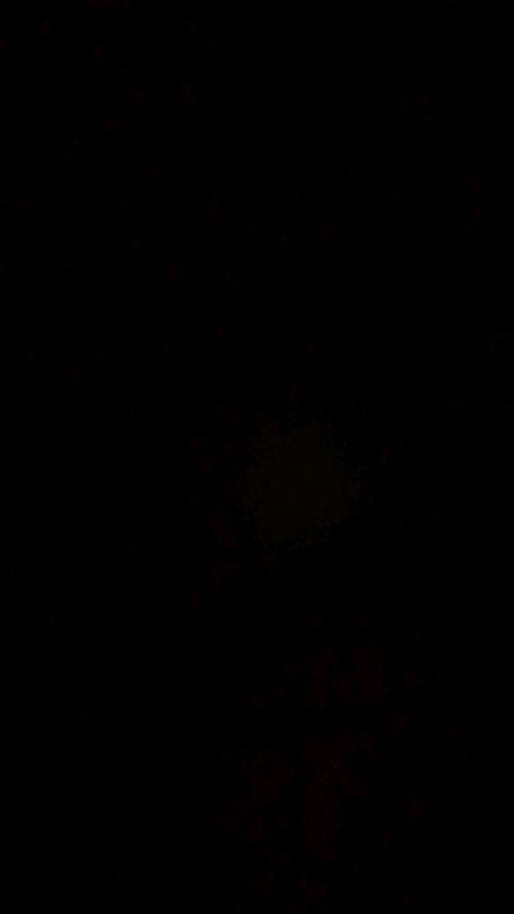 Avatar for regal group