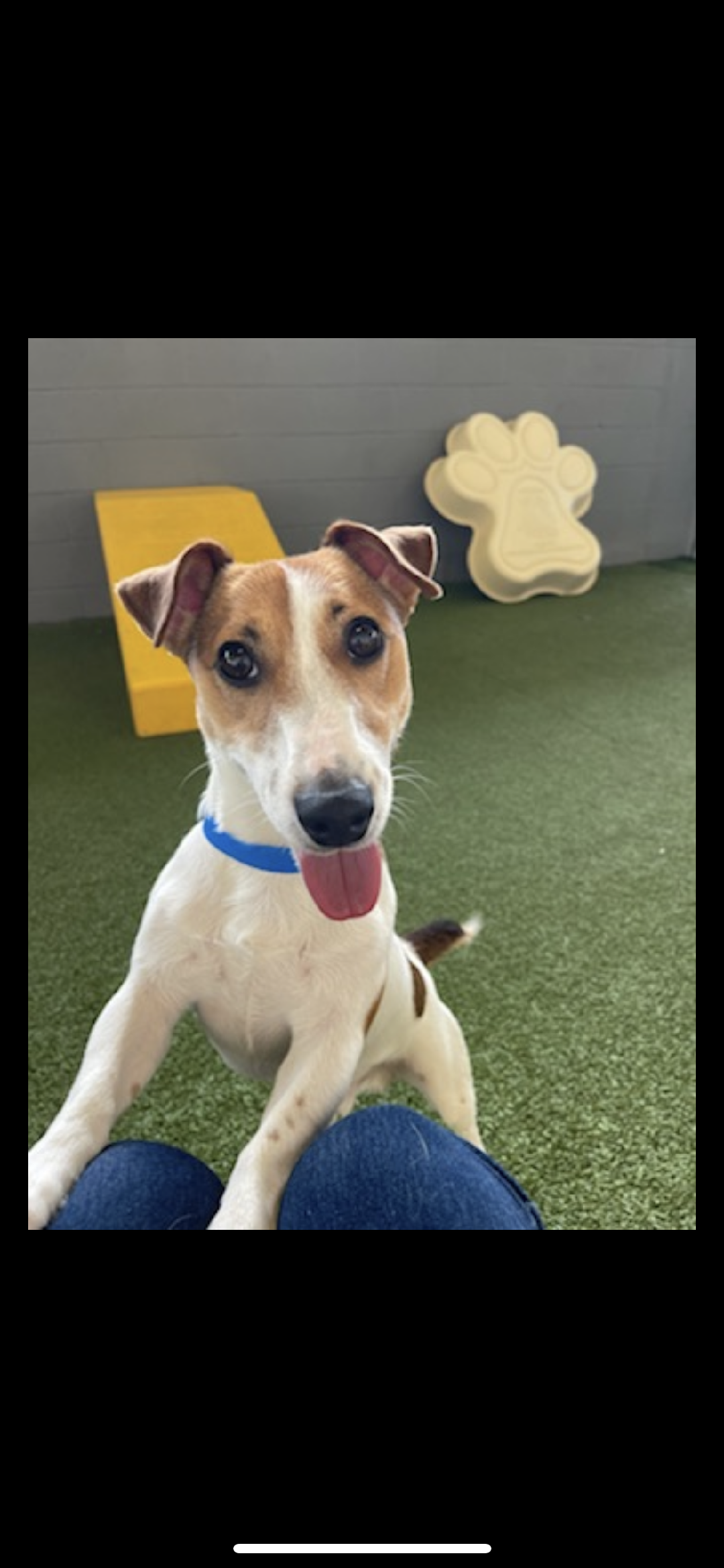 Avatar for Foster Handyman Services