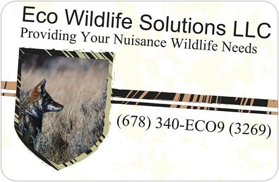 Avatar for Eco Wildlife Solutions LLC
