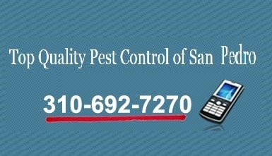 Top Quality Pest Control of San Pedro logo