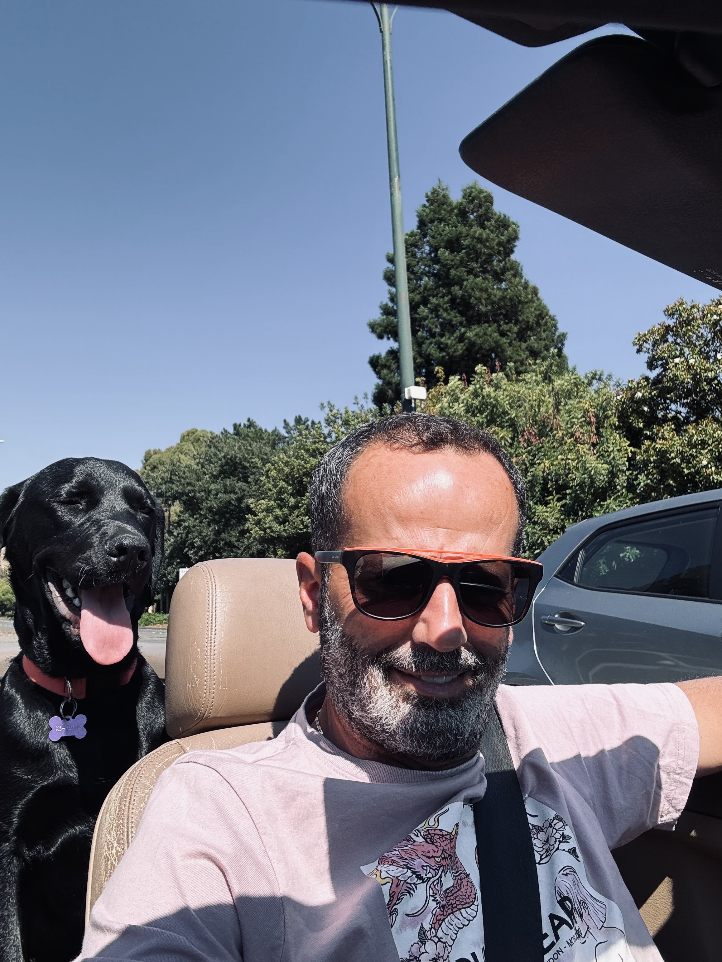 Avatar for Aspetto moderno