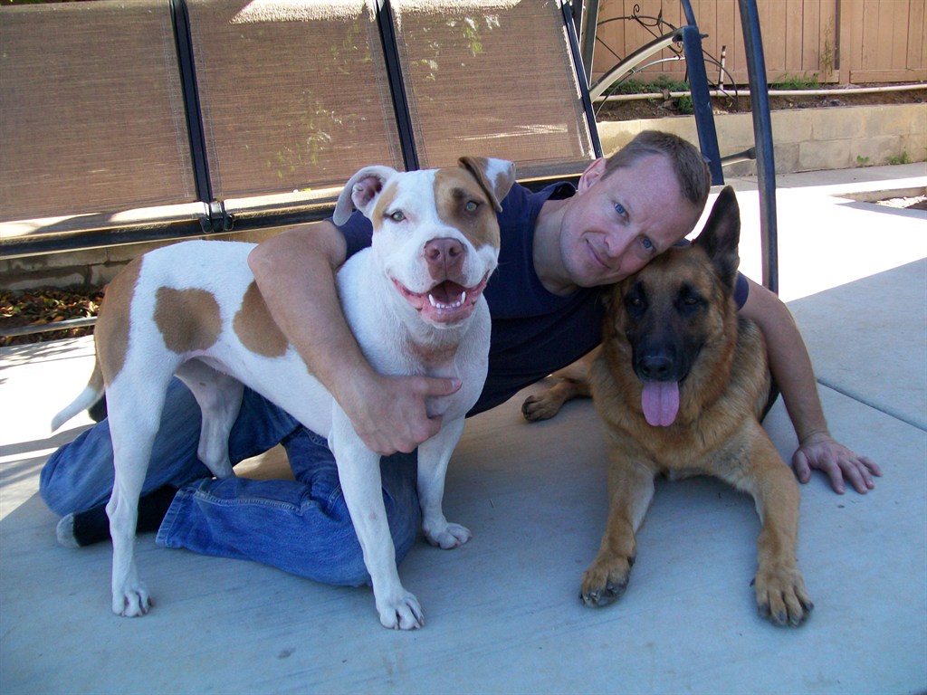 Ralf & Dogs