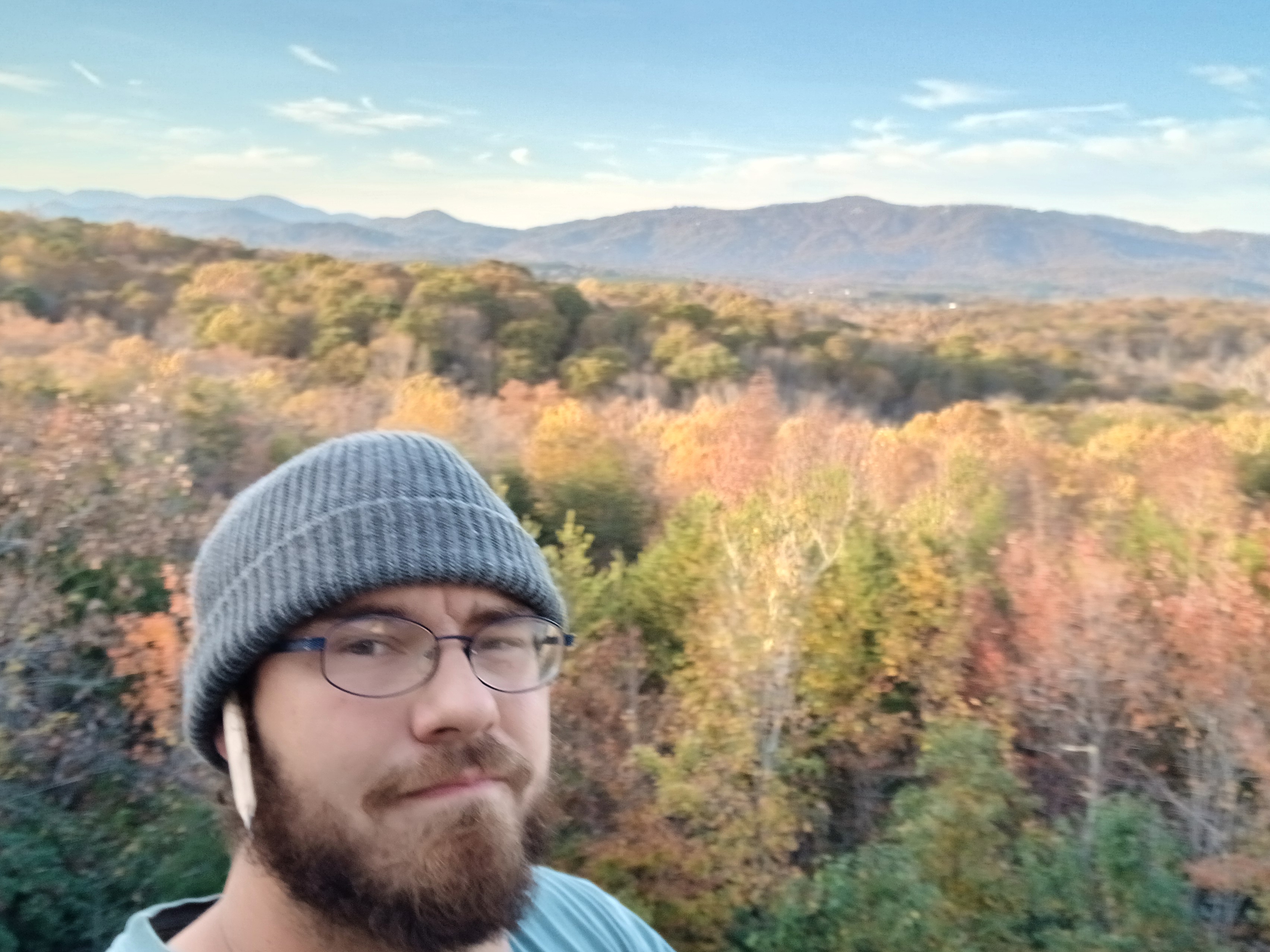 Avatar for Flewwellin lawn and maintenance