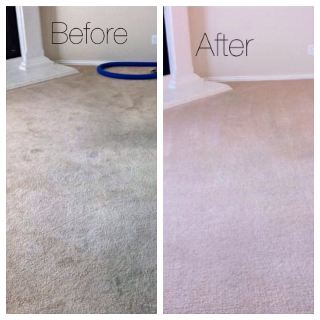 Carpet Cleaning