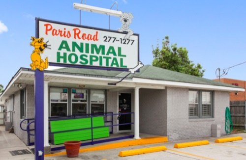 Logo for PARIS ROAD ANIMAL HOSPITAL
