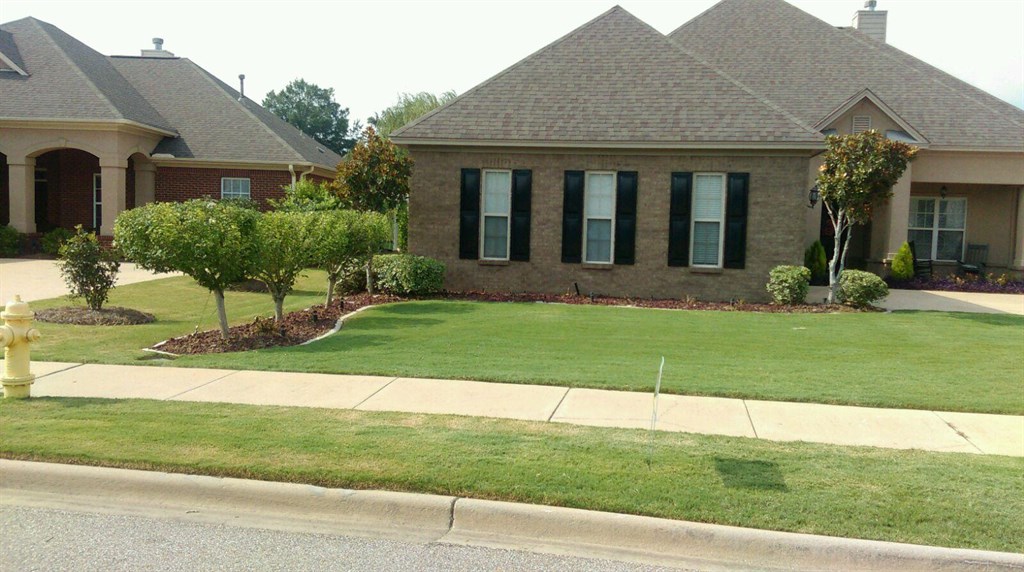 Cut, Edge, Prune and Cleanup