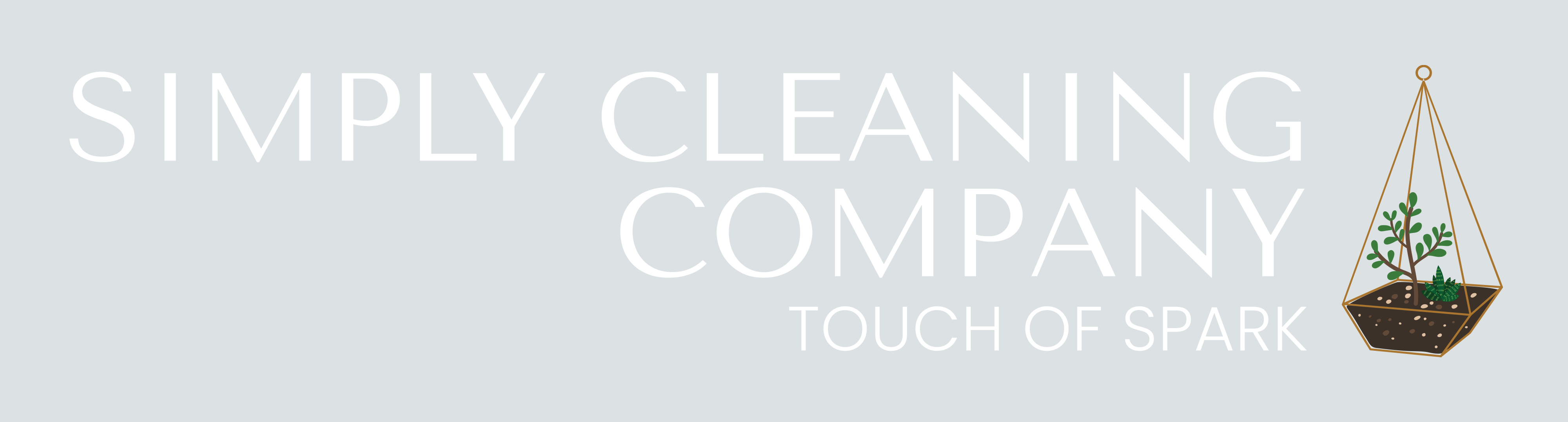 Avatar for Simply cleaning