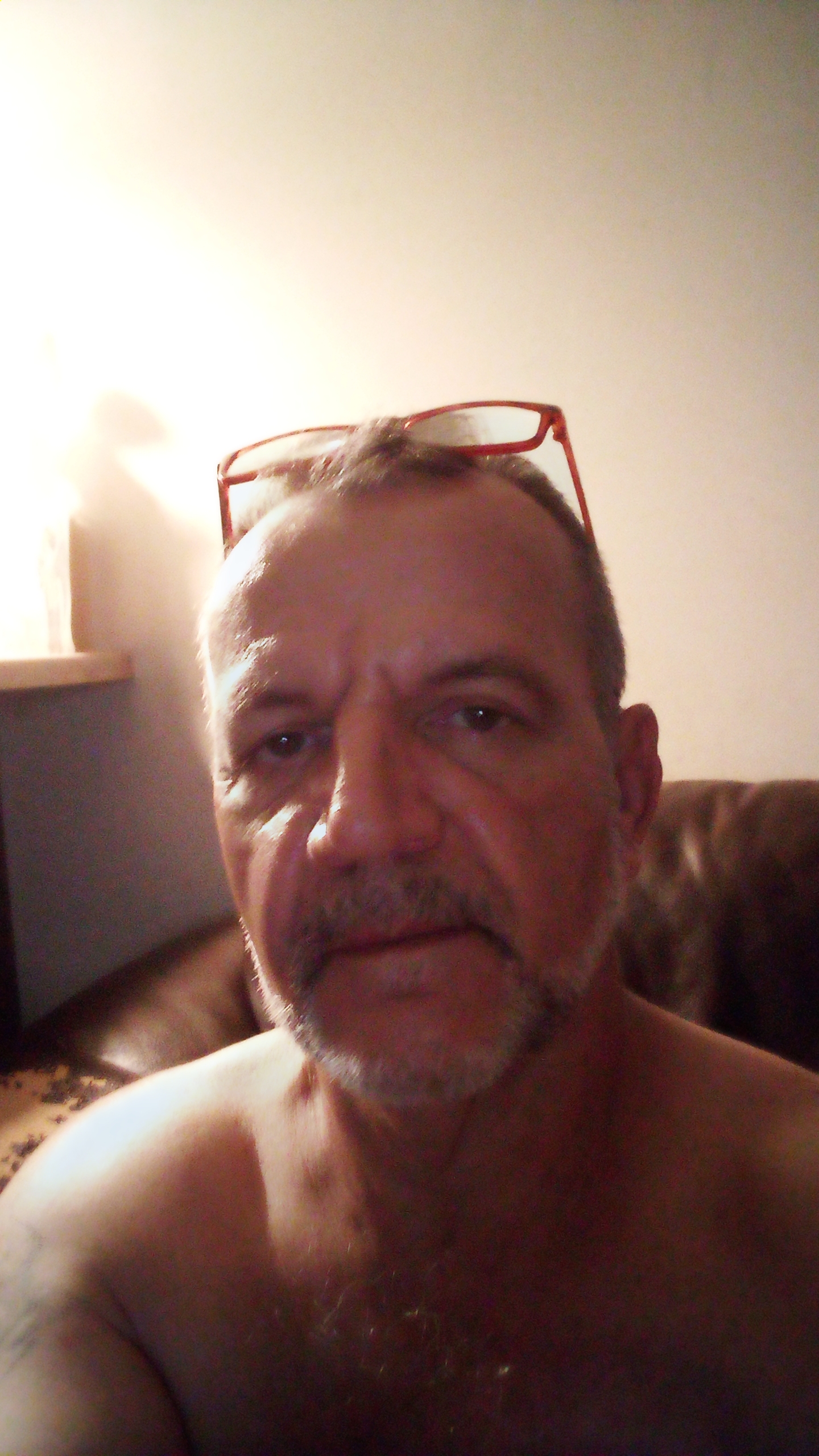 Avatar for Handy Dan's