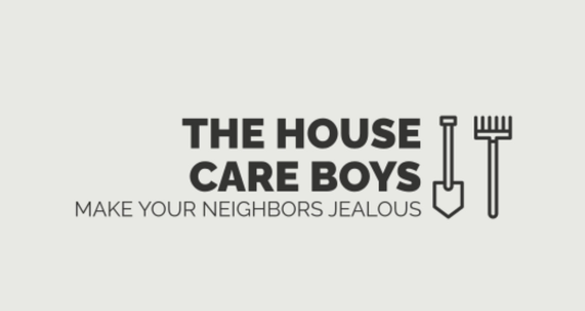 Avatar for The house care boys