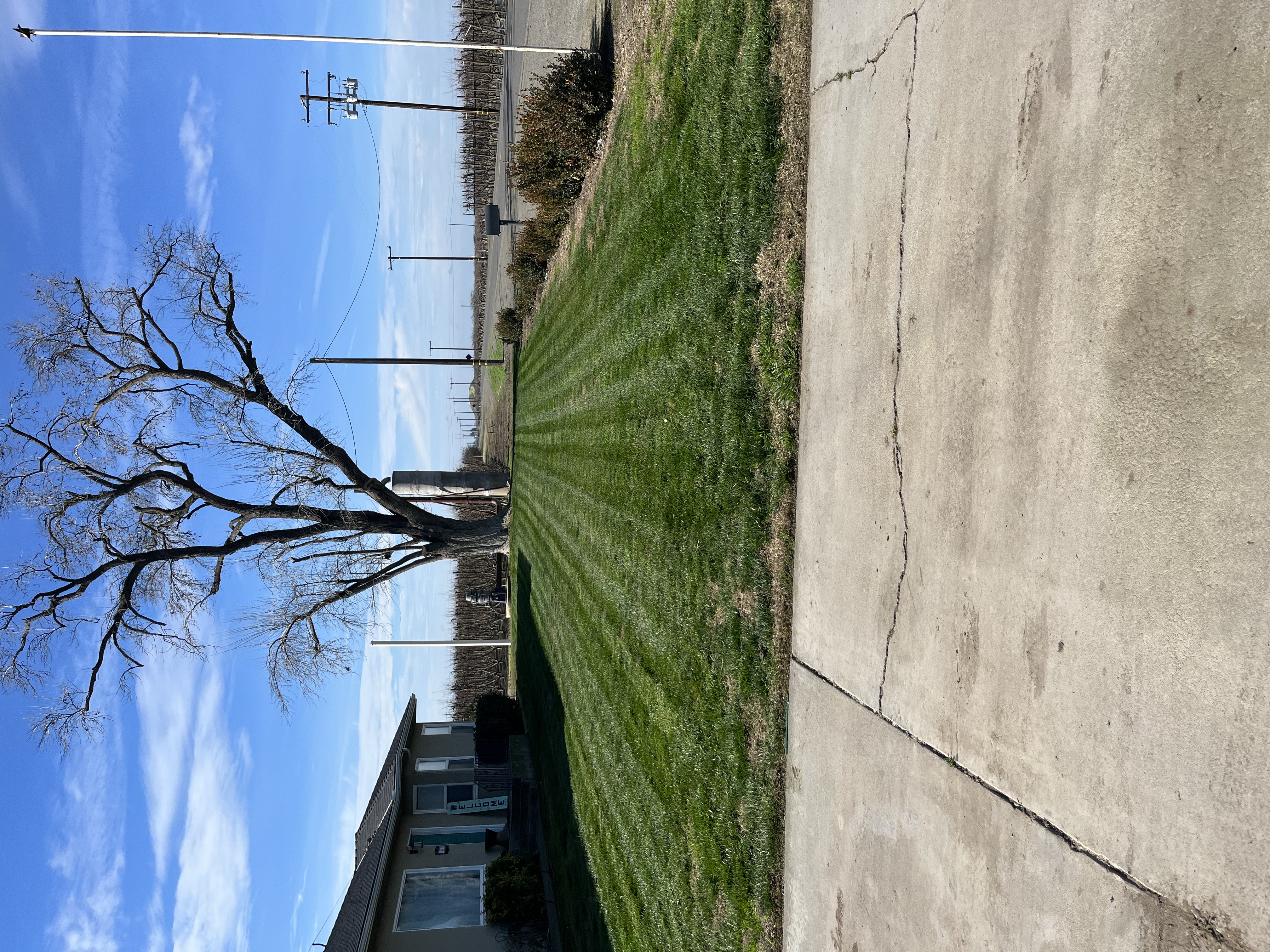 Avatar for Jr Lawn And Junk