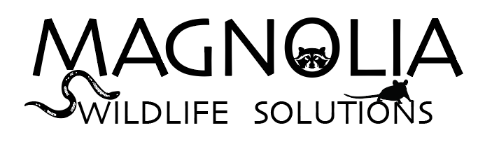 Avatar for Magnolia Wildlife Solutions