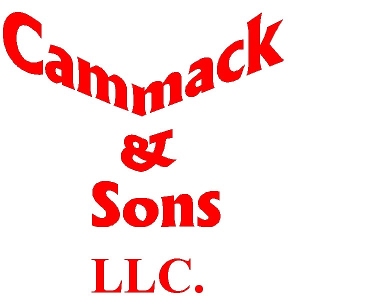 Cammack & Sons Security Systems logo