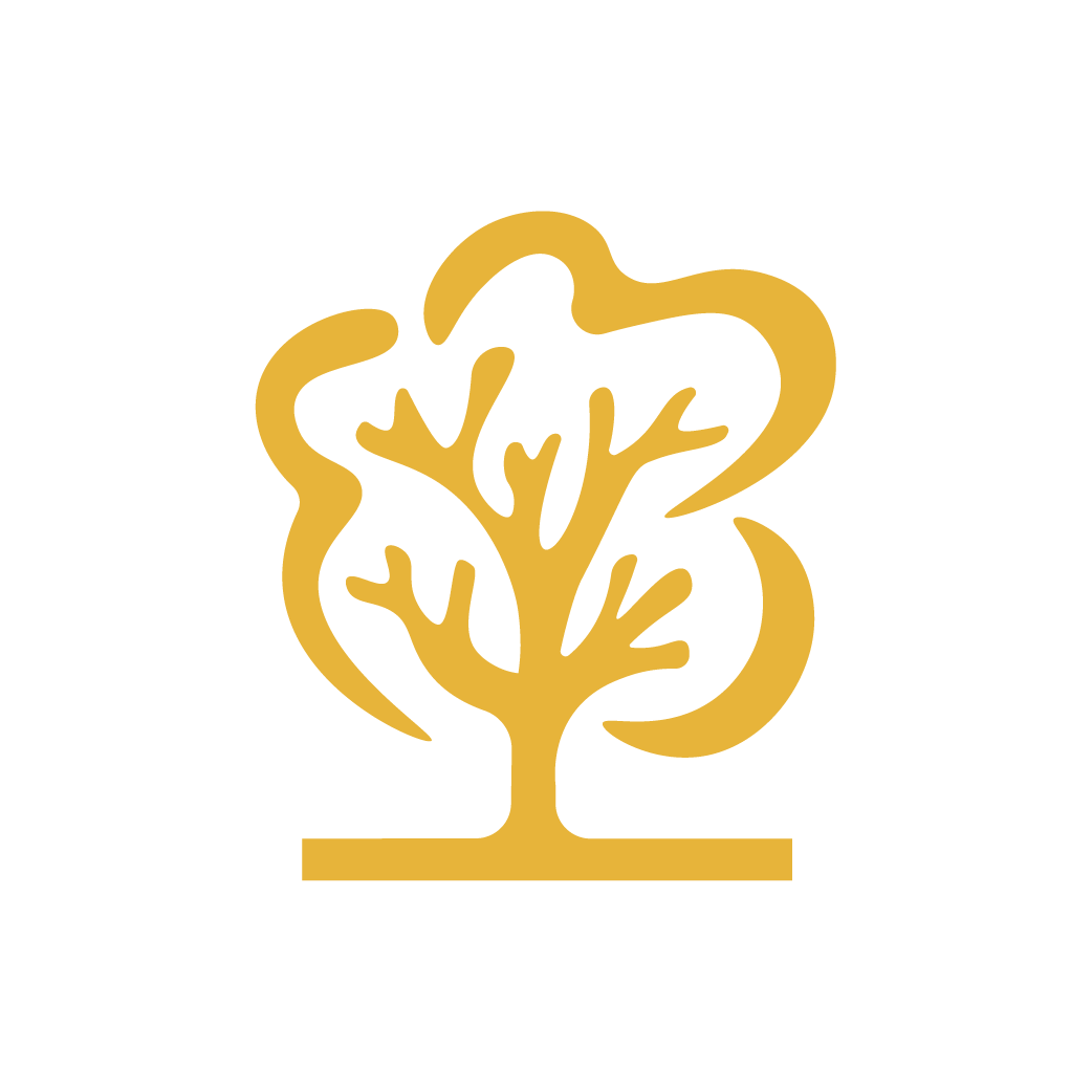 Avatar for The Board Store Home Improvement Inc
