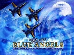 Blue Angels Landscaping logo