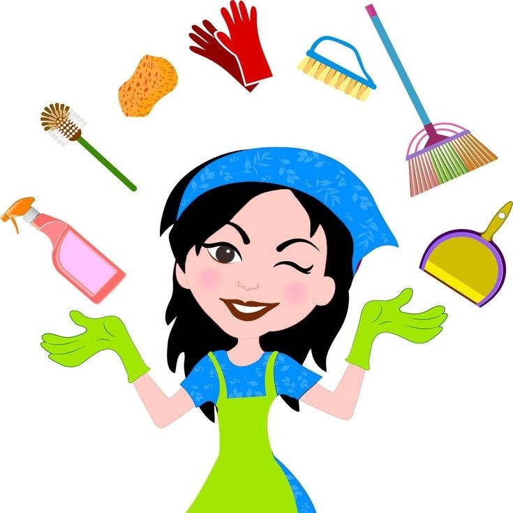 Avatar for The Cleaning Ladies