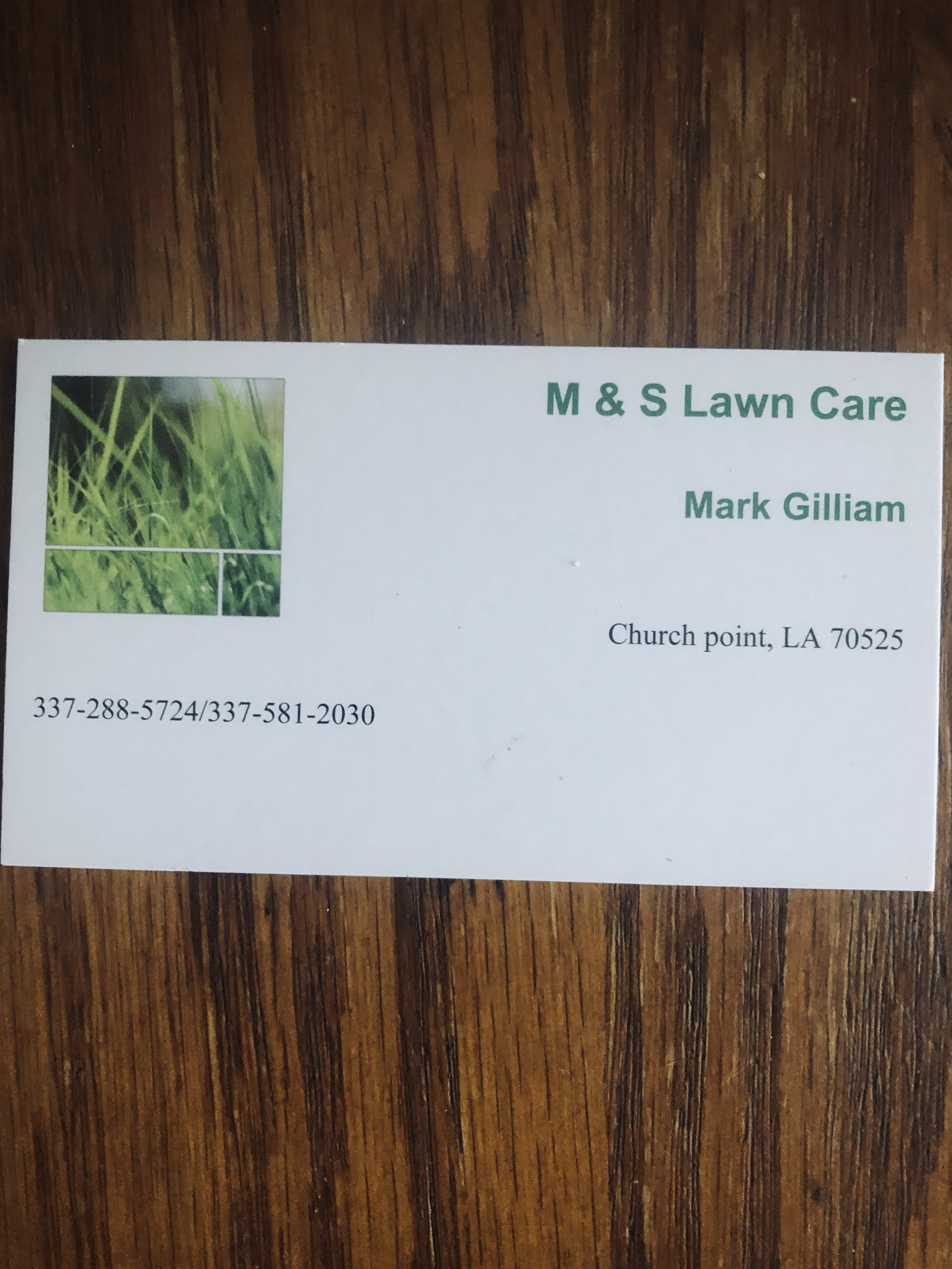 Avatar for M & S Lawn Care Services 