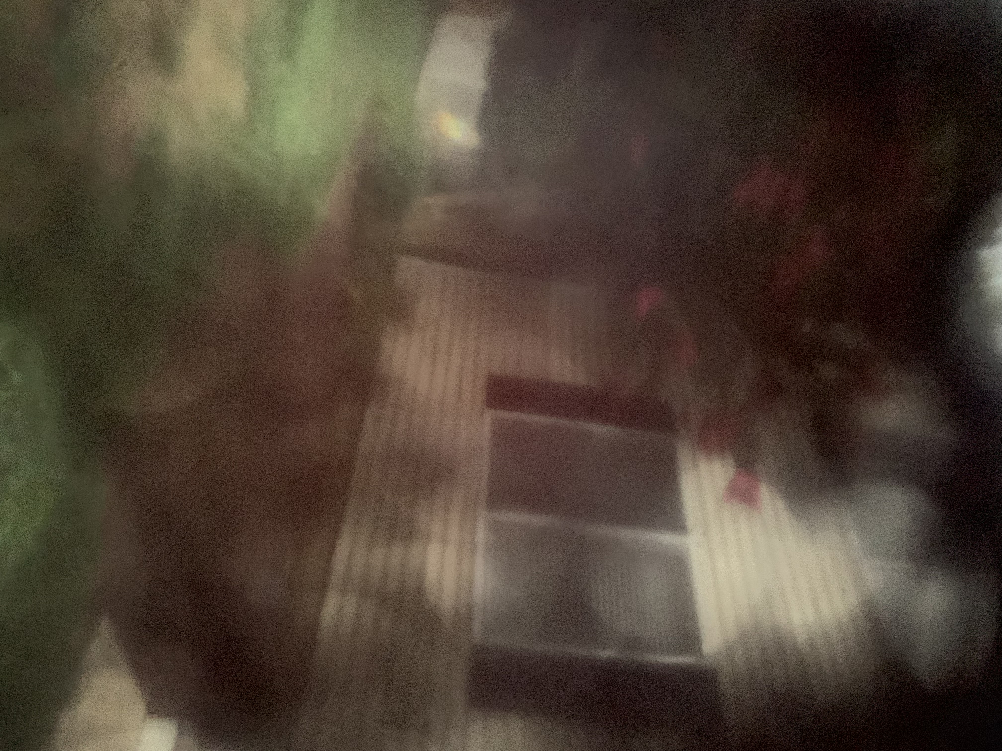 Avatar for Leah Pictou