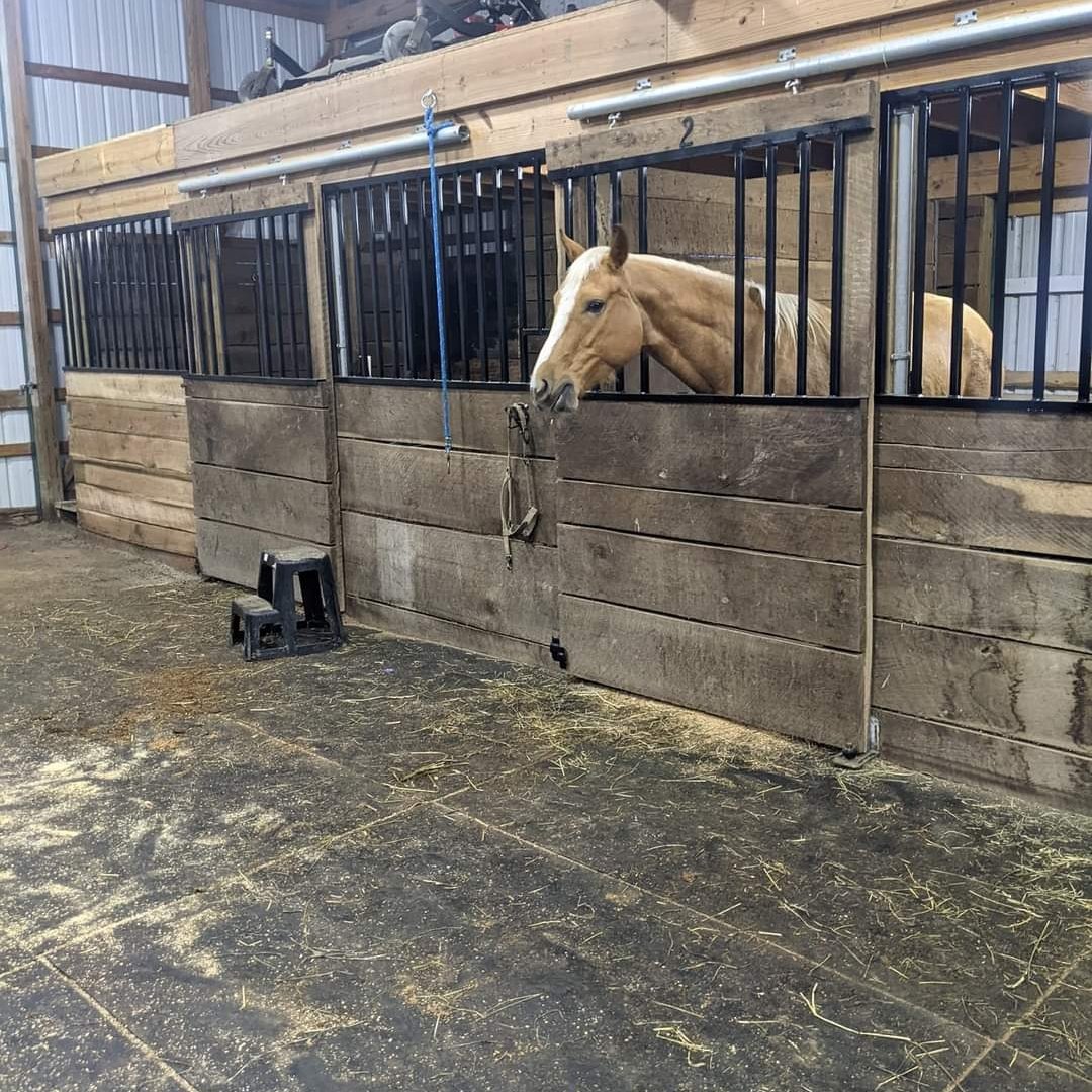 Avatar for E Solutions Xperts