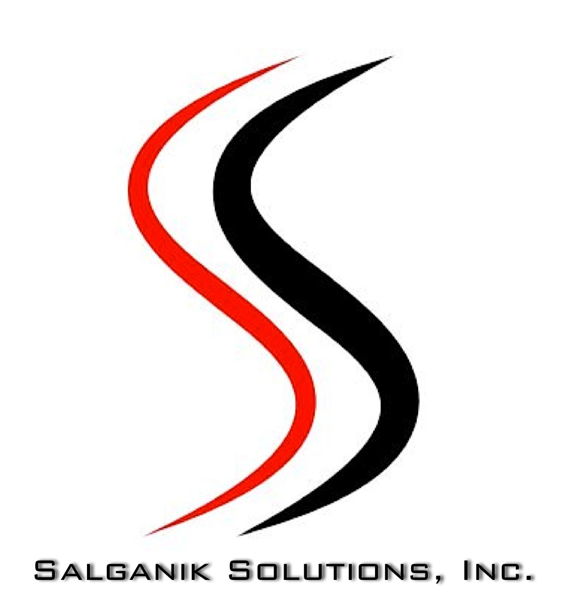 AnVision Web Design Services logo