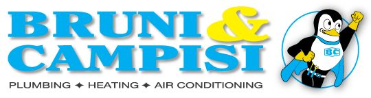 Logo for Bruni & Campisi
