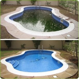 Pool Cleaning/Repair