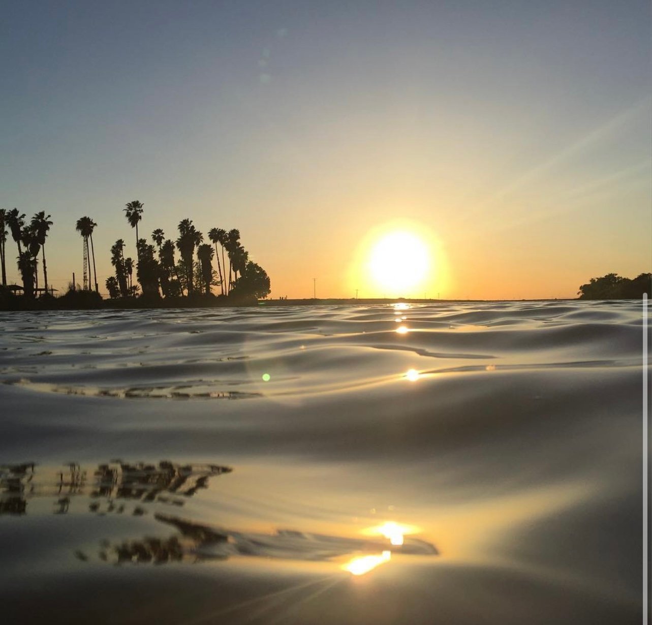 Avatar for PureGlassMobileDetail