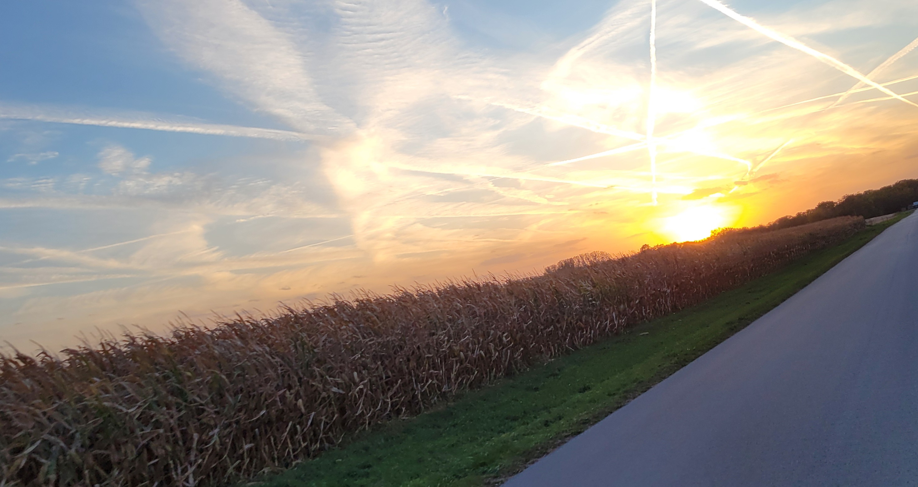 Avatar for Elizabeth N