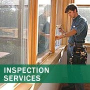Mold Inspection