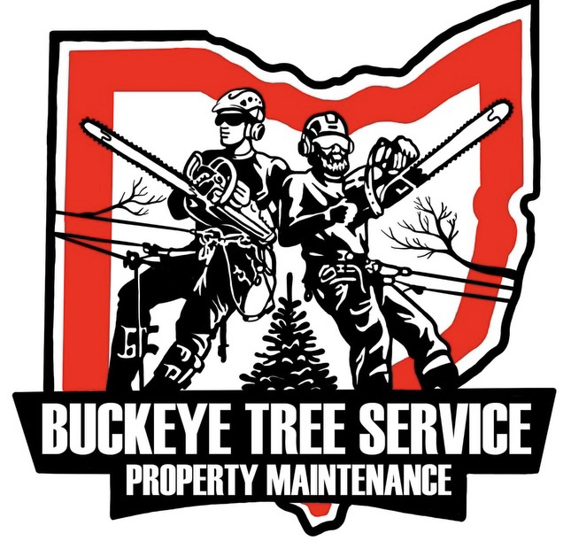 Avatar for Buckeye Tree Service & Property Maintenance