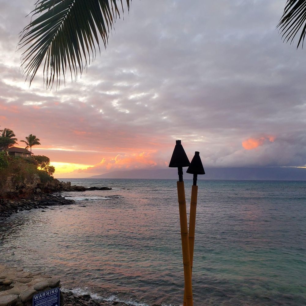 Avatar for Eco Smart Cleaning