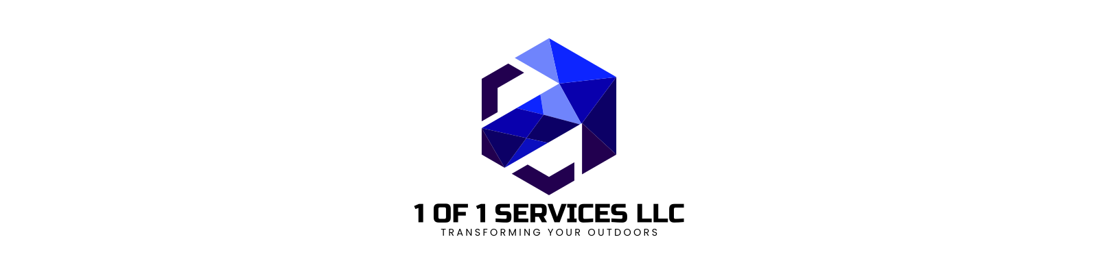 Avatar for 1 of 1 Services LLC