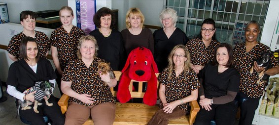 Valley Vetco Doctors and Staff