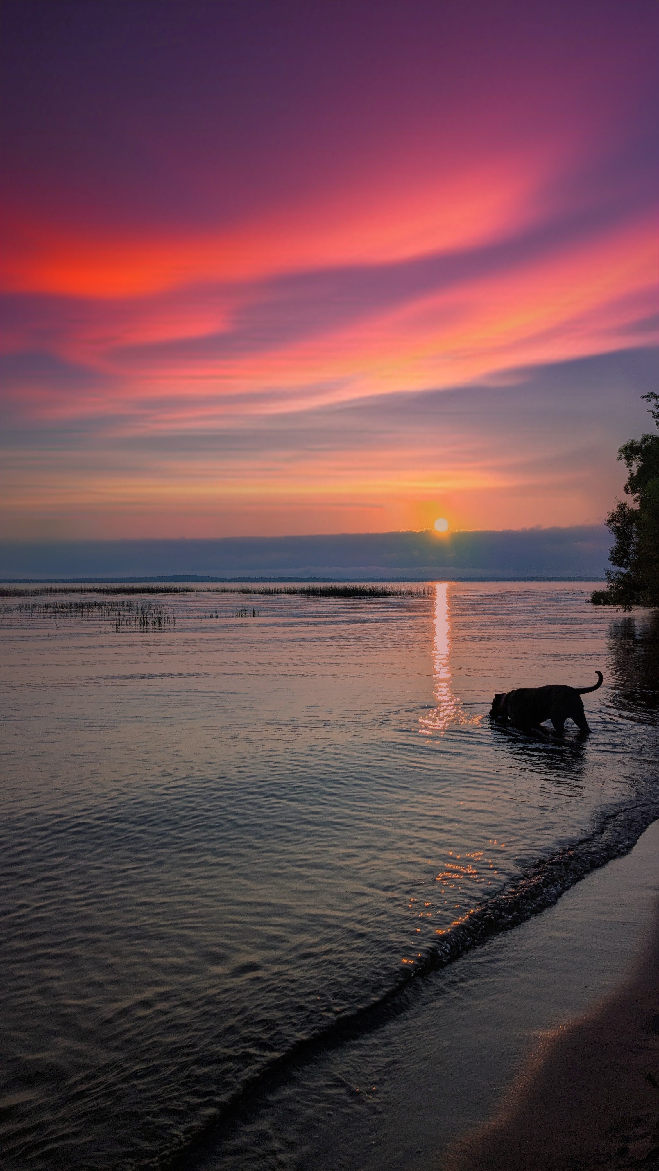 Avatar for Onetime custom designs