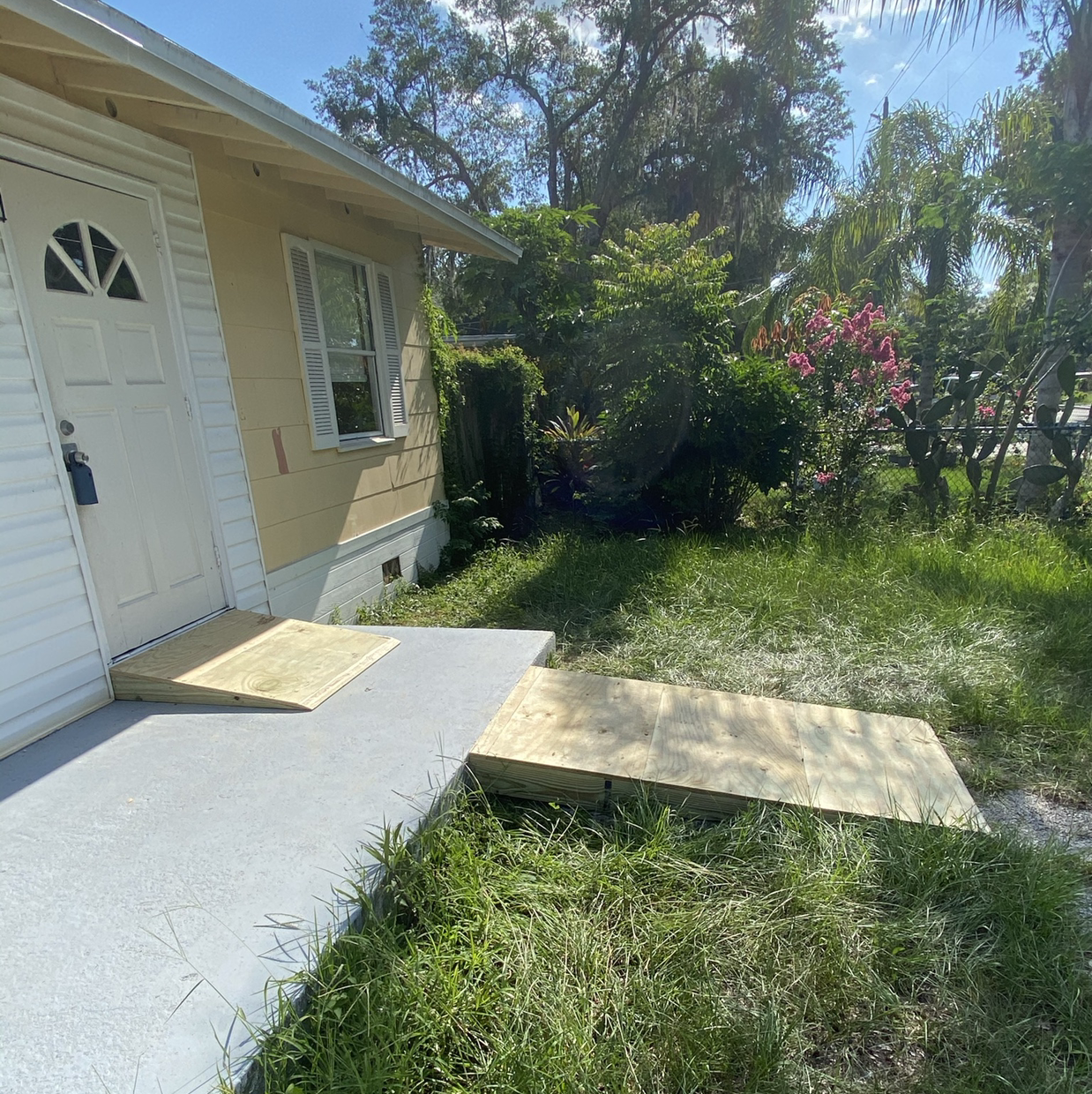 Avatar for Borntreger