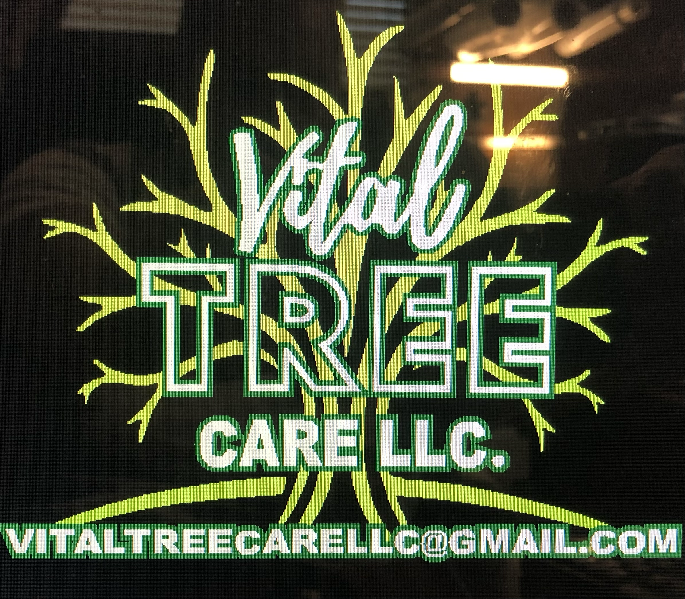 Avatar for Vital Tree Care 