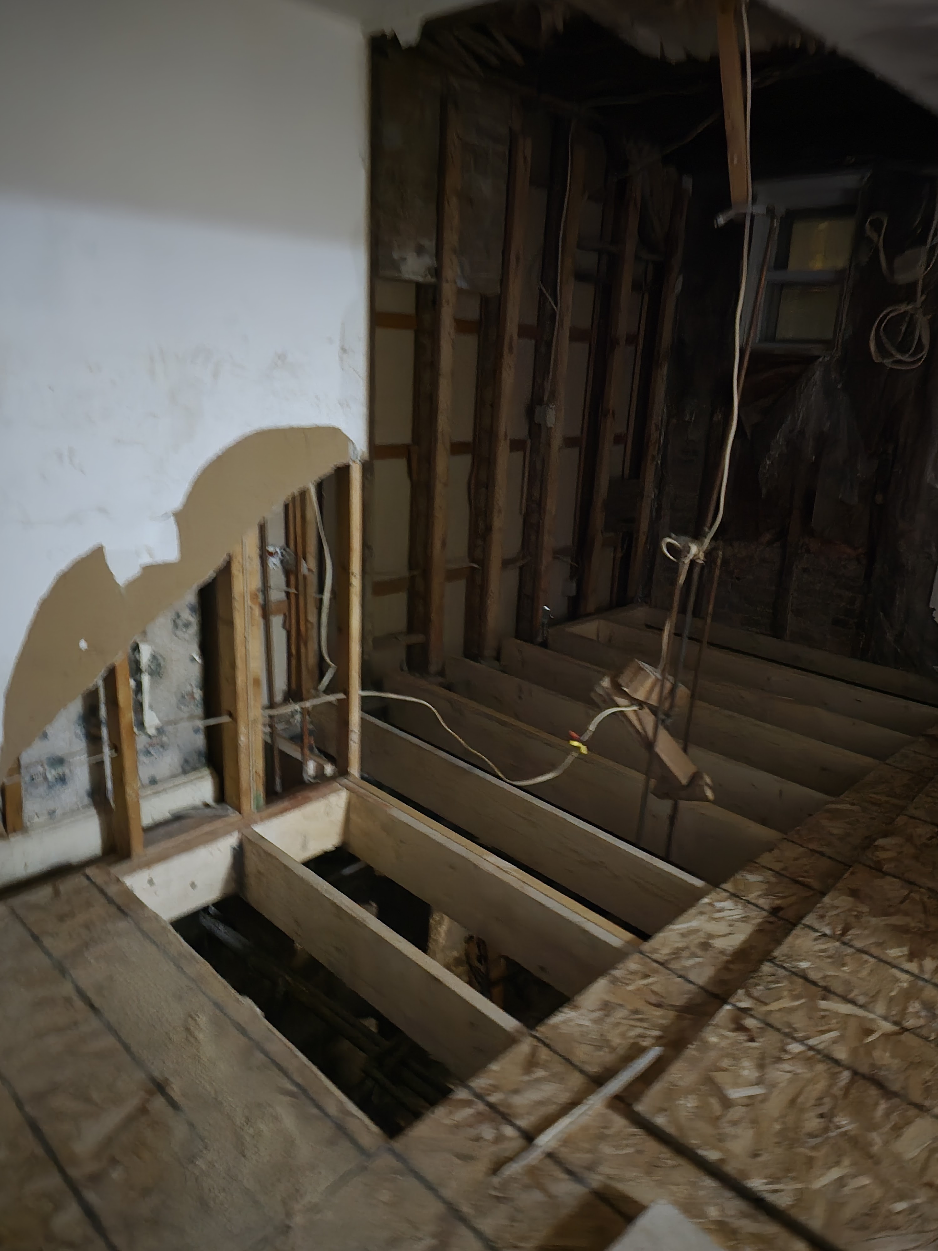 Avatar for Adk construction