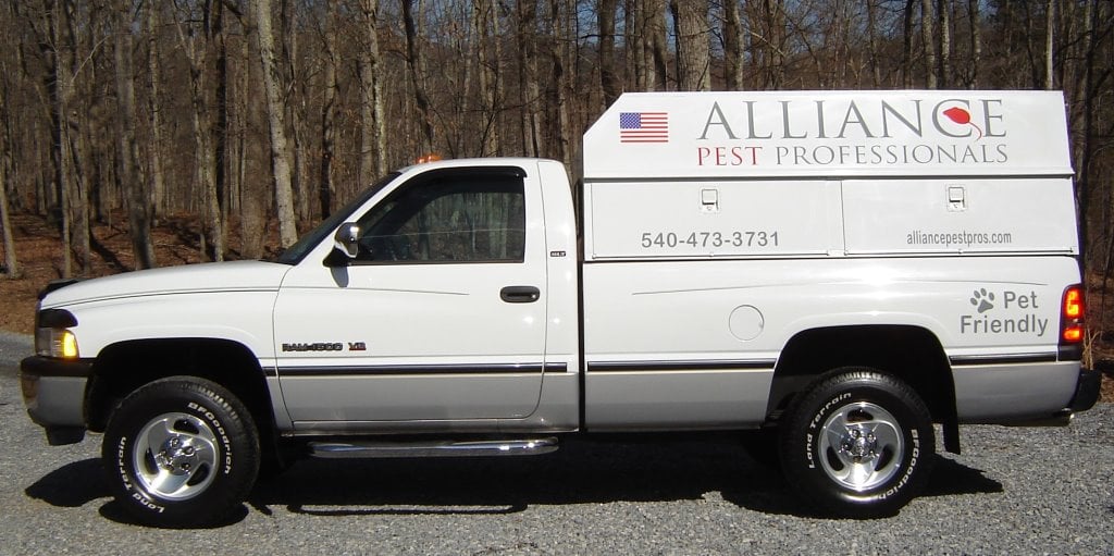 Avatar for ALLIANCE PEST PROFESSIONALS