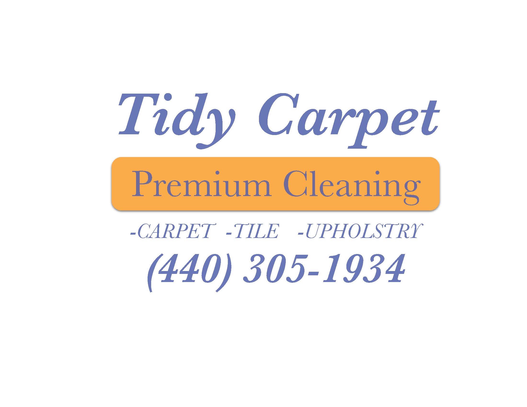 Tidy Carpet LLC logo