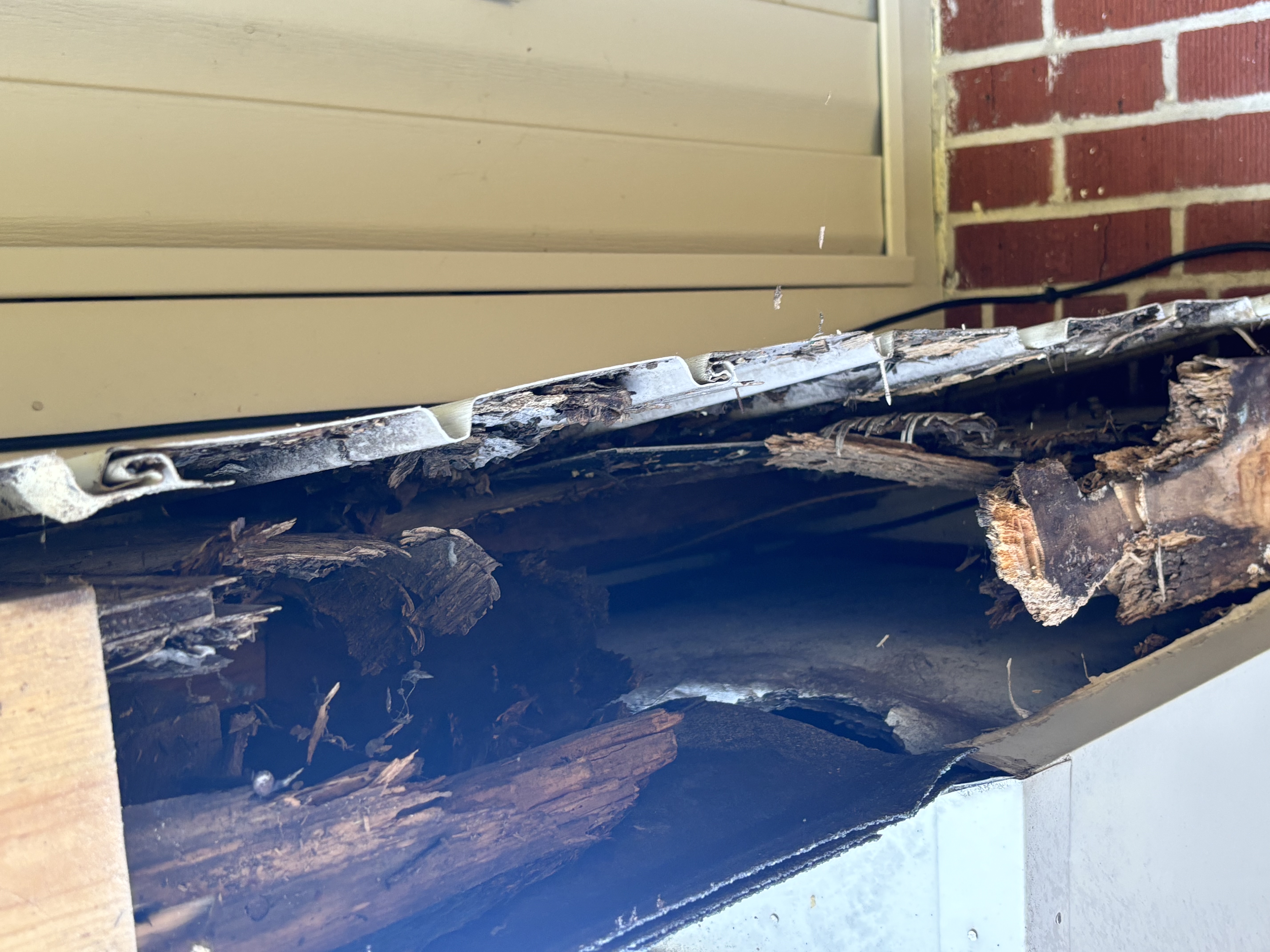 Avatar for Zachary roberts