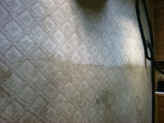 Avatar for Absher Carpet Care