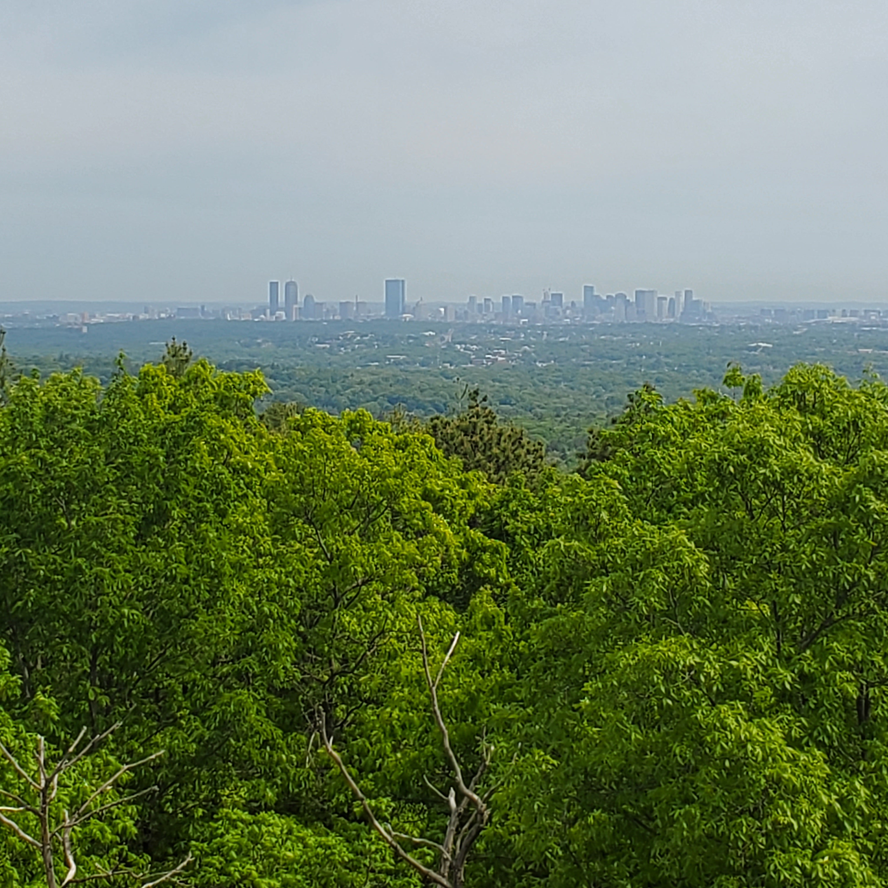 Avatar for SND services