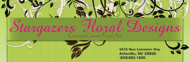 Stargazers Designs logo
