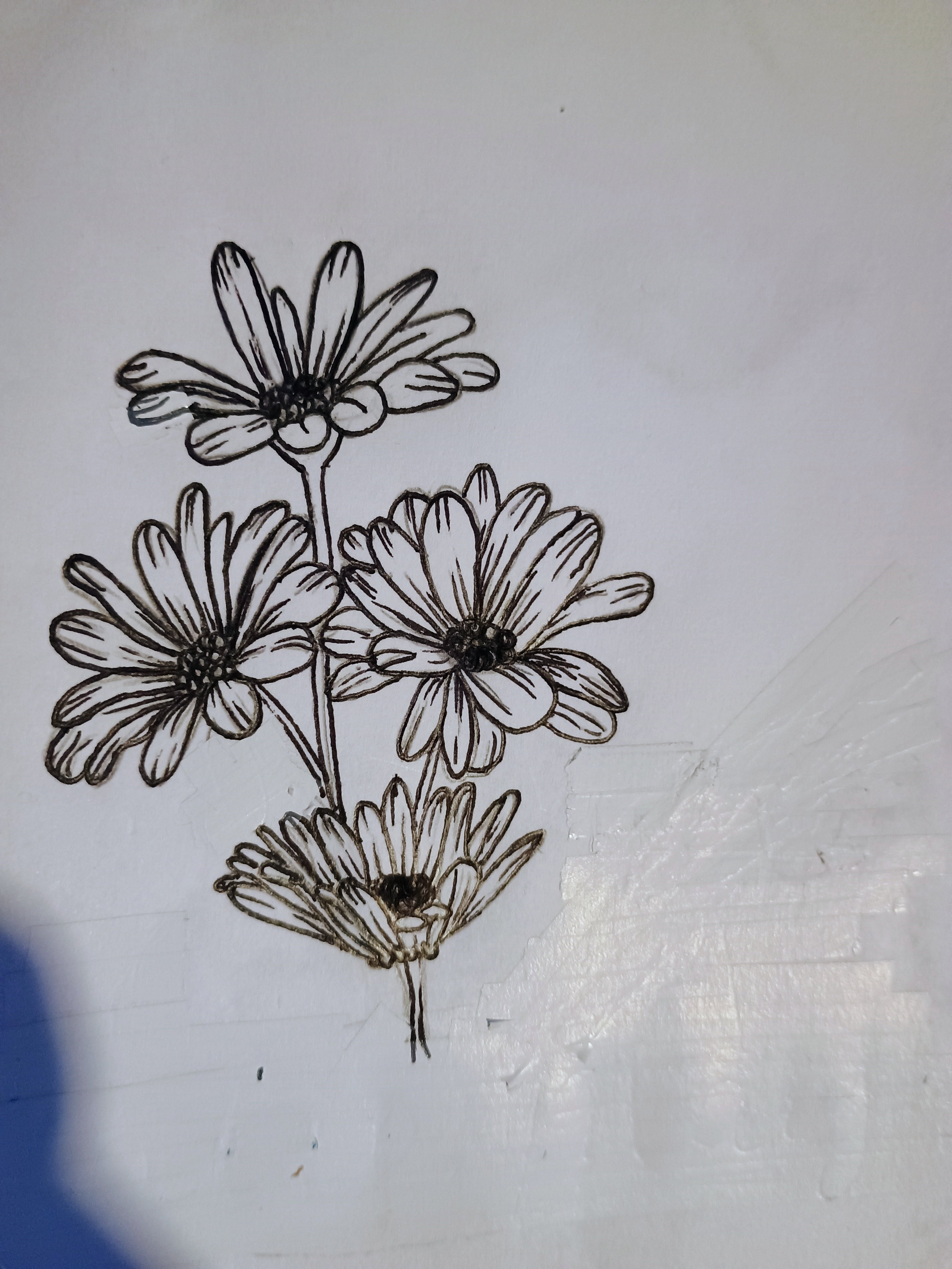 Avatar for Creative Concoctions