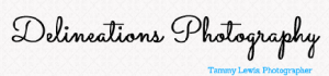 Delineations Photography logo