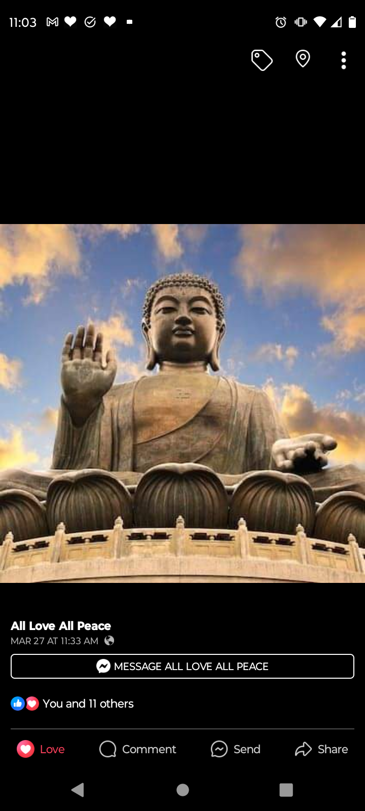 Avatar for ALLloveALLpeace