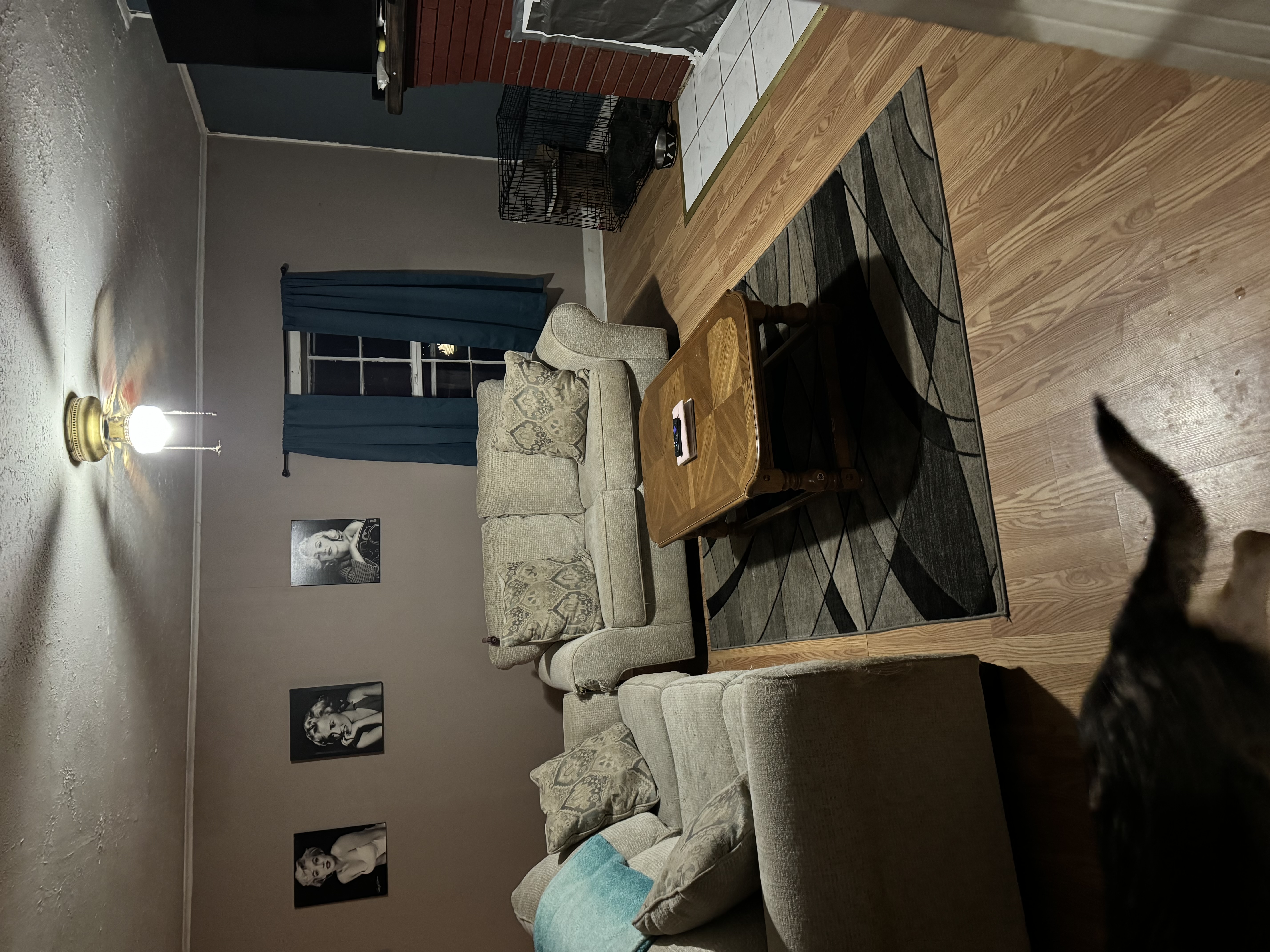 Avatar for Amber Blevins