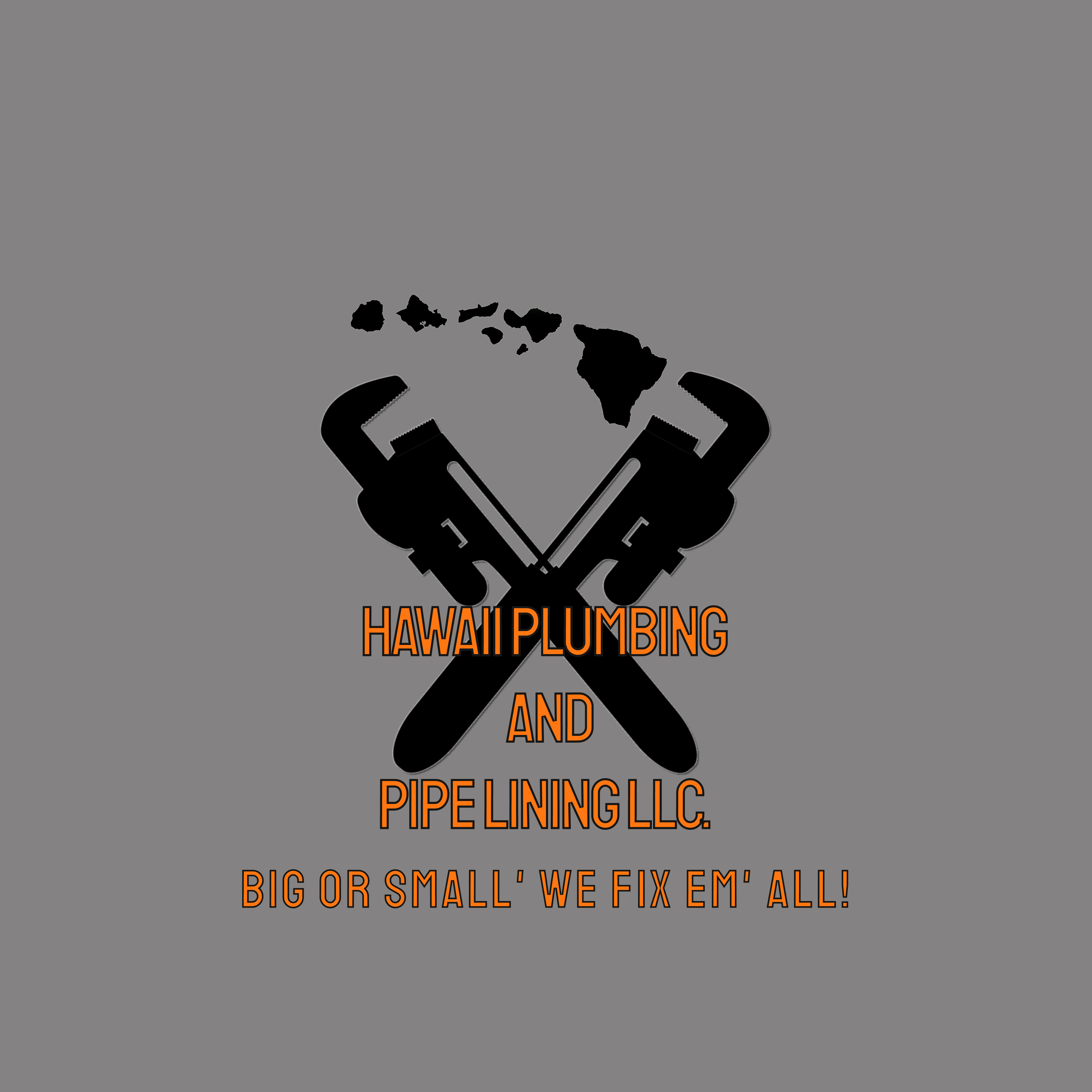 Avatar for Hawaii Plumbing and Pipe Lining LLC