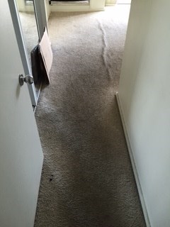 Before Hawaii Premier Homes, LLC