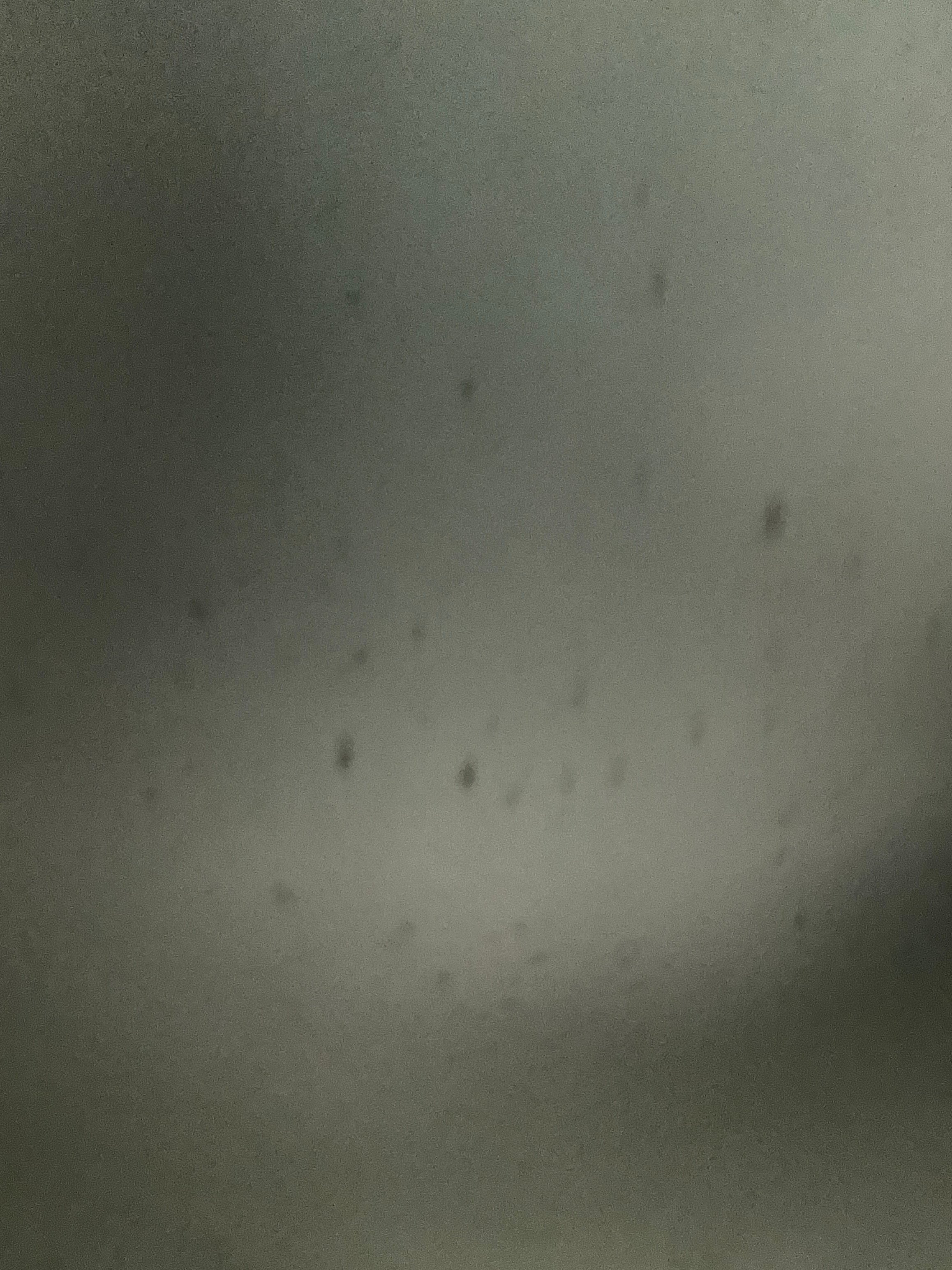 Avatar for Francisco Camberos 