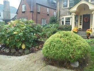 Lakewood Job